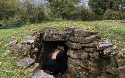 Le musée des Tumulus de Bougon